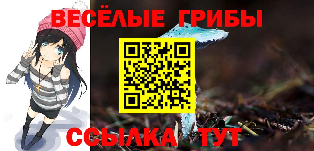 Псилоцибиновые грибы GOLDEN TEACHER Приморско-Ахтарск